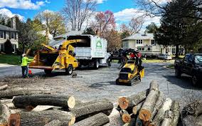 Best Pest Control for Lawns  in Bedminster, NJ