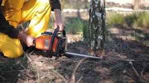 Best Lawn Mowing  in Bedminster, NJ