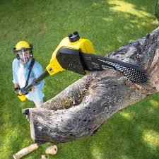 Best Seasonal Cleanup (Spring/Fall)  in Bedminster, NJ