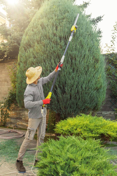 Best Lawn Grading and Leveling  in Bedminster, NJ