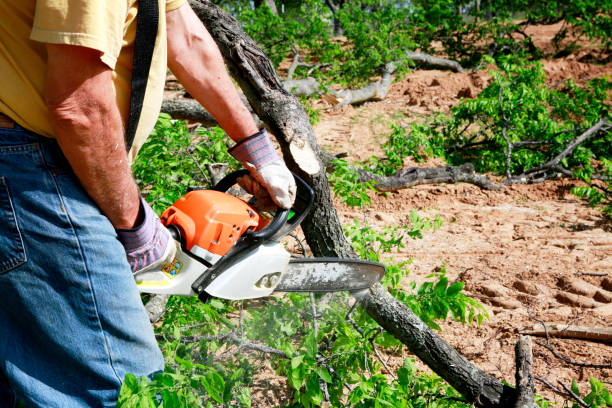 Best Soil Testing and Treatment  in Bedminster, NJ